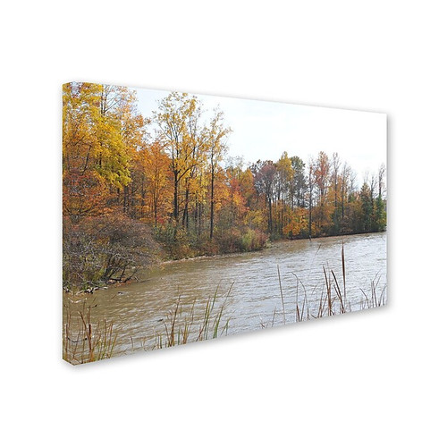 Trademark Monica Fleet "Just a Wonder" Gallery-Wrapped Canvas Art, 30" x 47" (65dcfb4fe8837636b11a3859_ud)