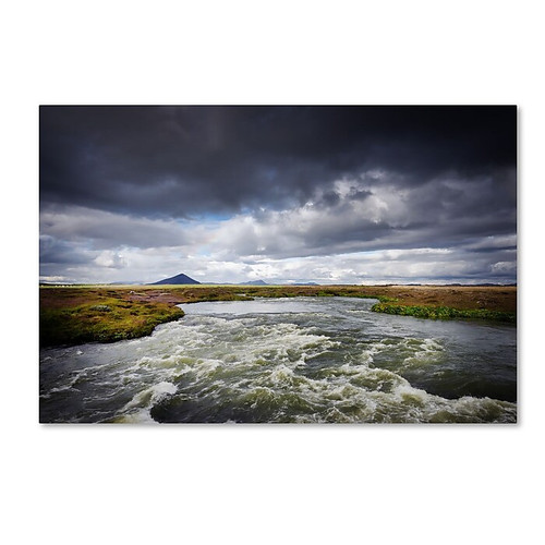Trademark Fine Art Philippe Sainte-Laudy 'Silver Sky' 12" x 19" Canvas Stretched Art Print (190836324149)