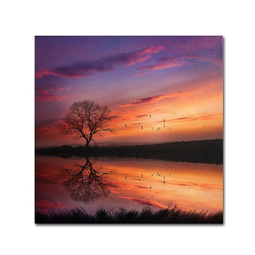 Trademark Fine Art Philippe Sainte-Laudy 'Dream Bigger' 18 x 18 (PSL0340-C1818GG)