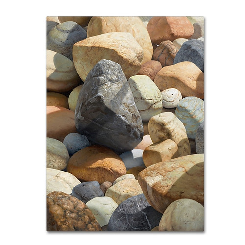 Trademark Fine Art Stephen Stavast 'A Bolder View' 18 x 24 (ALI0740-C1824GG)