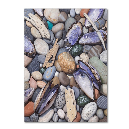 Trademark Fine Art Stephen Stavast 'Treasure at Muscle Beach' 35 x 47 (ALI0747-C3547GG)