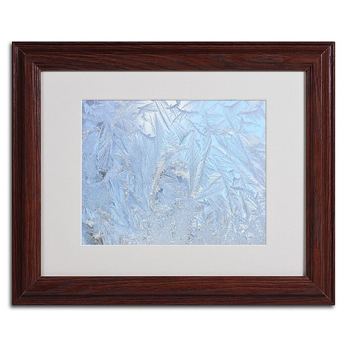 Trademark Kurt Shaffer "Frost Pattern #3" Art, White Matte With Wood Frame, 11" x 14" (65dcfba8e8837636b11a3a1a_ud)