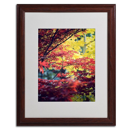 Trademark Philippe Sainte-Laudy "Red vs Yellow" Art, White Matte With Wood Frame, 16" x 20" (65dcfbc2e8837636b11a3a86_ud)