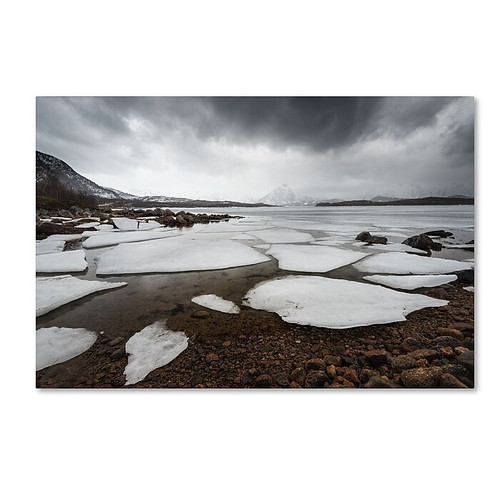 Trademark Fine Art Philippe Sainte-Laudy 'Wildest Dreams' 12" x 19" Canvas Stretched Art Print (190836238620)