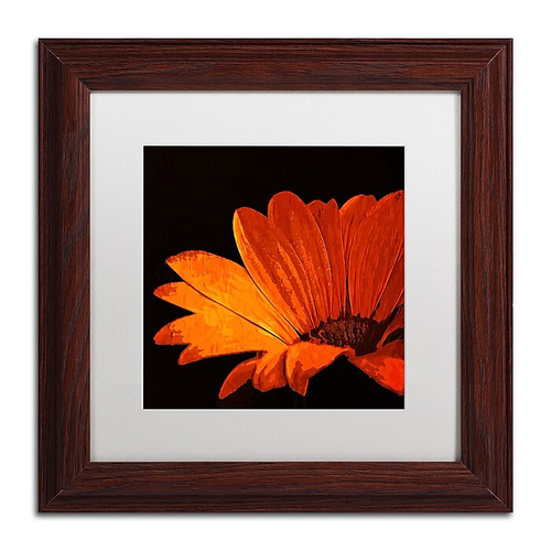 Trademark Fine Art Philippe Sainte-Laudy 'Happening Now' 11" x 11" Matted Framed Art Print (190836221066)