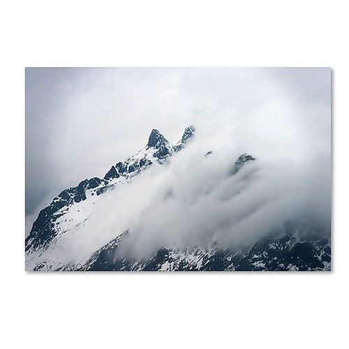 Trademark Fine Art Philippe Sainte-Laudy 'Come Fly With Me' 12" x 19" Canvas Stretched (190836124466)