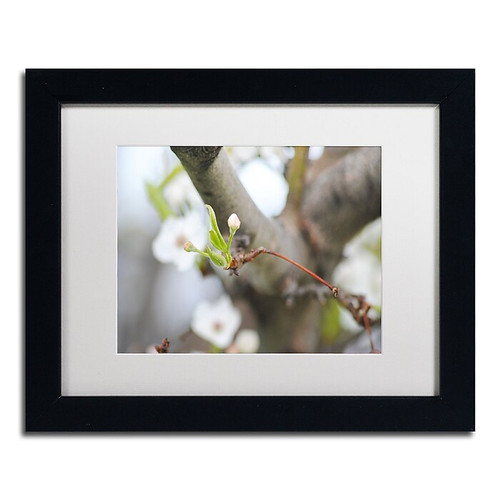 Trademark Fine Art Monica Mize 'Before Bloom' 11 x 14 (MF133-B1114MF)