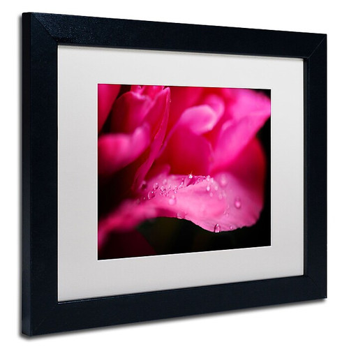 Trademark Philippe Sainte-Laudy "Peony Drops" Art, White Matte With Black Frame, 11" x 14" (65dcfc7be8837636b11a3dc6_ud)