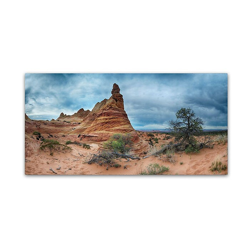 Trademark Fine Art ''Cottonwood III'' by Moises Levy 24" x 47" Canvas Art (ALI1132-C2447GG)