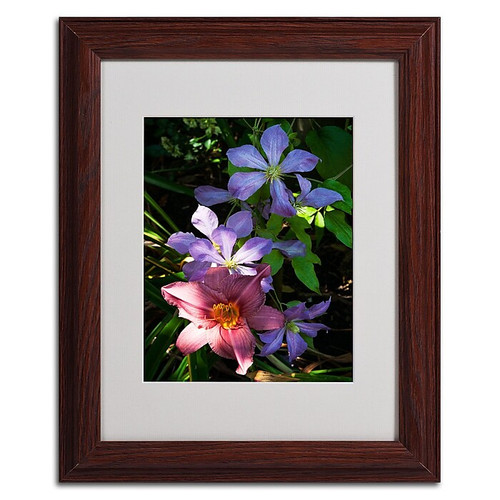Trademark Kurt Shaffer "Clematis and Lily" Art, White Matte With Wood Frame, 11" x 14" (65dcfc94e8837636b11a3e62_ud)