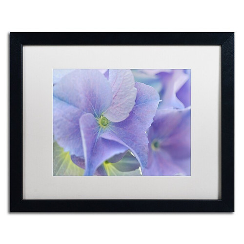 Trademark Fine Art Cora Niele 'Blue Hortensia' 16" x 20" Matted Framed Art Print (190836256518)