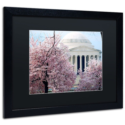 Trademark CATeyes "Cherry Blossoms 2014-7" Art, Black Matte W/Black Frame, 16" x 20" (65dcfca1e8837636b11a3ea0_ud)