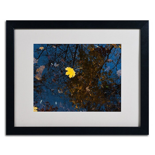 Trademark Kurt Shaffer "Maple Water" Art, White Matte W/Black Frame, 16" x 20" (65dcfcade8837636b11a3eb9_ud)