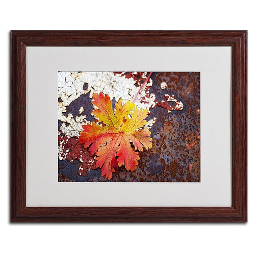 Trademark Philippe Sainte-Laudy "Autumn Rust" Art, White Matte With Wood Frame, 16" x 20" (65dcfcaee8837636b11a3ec6_ud)