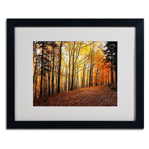 Trademark Philippe Sainte-Laudy "Autumn Leaves" Art, White Matte With Black Frame, 16" x 20" (65dcfcbbe8837636b11a3f14_ud)