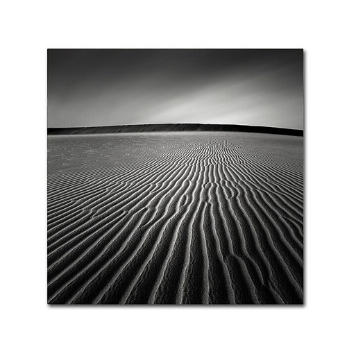 Trademark Fine Art Dave MacVicar 'Ripples' 24 x 24 (ALI0875-C2424GG)