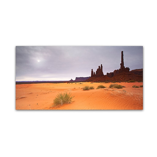 Trademark Fine Art ''Monument Valley Panorama I'' by Moises Levy 12" x 24" Canvas Art (ALI1143-C1224GG)