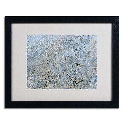 Trademark Kurt Shaffer "Frost Pattern #5" Art, White Matte W/Black Frame, 16" x 20" (65dcfcfee8837636b11a4049_ud)