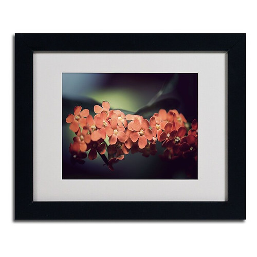 Trademark Philippe Sainte-Laudy "Flowers Waiting" Art, White Matte With Black Frame, 11" x 14" (65dcfd0ae8837636b11a4065_ud)