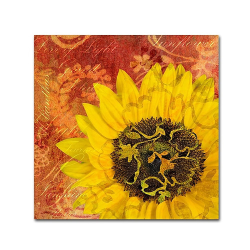 Trademark Fine Art Cora Niele 'Sunflower - Love of Light' 14" x 14" Canvas Stretched (190836312603)