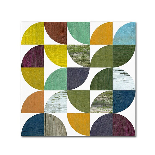 Trademark Fine Art Michelle Calkins 'Rustic Rounds 1.0' 14" x 14" Canvas Stretched Art Print (190836101269)