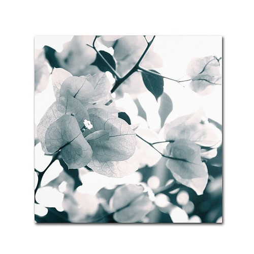 Trademark Fine Art 24" x 24" Wooden Frame About a Flower (65dcfd19e8837636b11a40ab_ud)