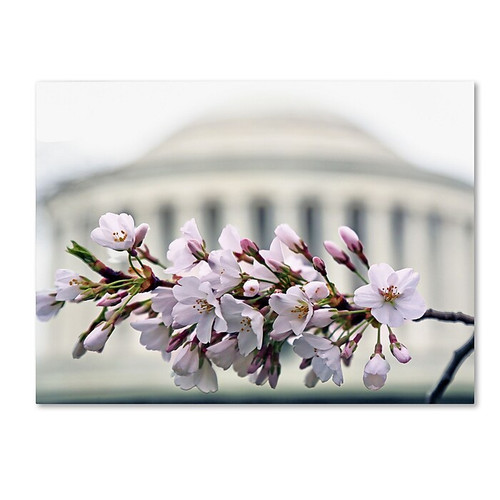 Trademark Fine Art CATeyes 'Jefferson Memorial Blossoms' 14" x 19" Canvas Stretched (190836098644)