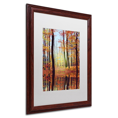 Trademark Philippe Sainte-Laudy "Fall Mirror" Art, White Matte With Wood Frame, 16" x 20" (65dcfd19e8837636b11a40c1_ud)