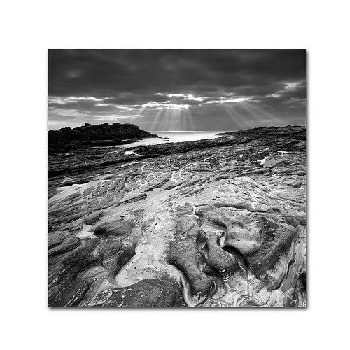 Trademark Fine Art ''Sunset at Point Lobos'' by Moises Levy 14" x 14" Canvas Art (ALI1082-C1414GG)