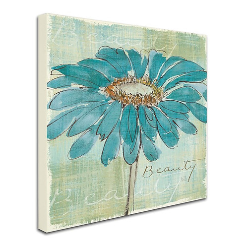 Trademark Chris Paschke "Spa Daisies I" Gallery-Wrapped Canvas Art, 24" x 24" (65dcfd9ee8837636b11a42f7_ud)