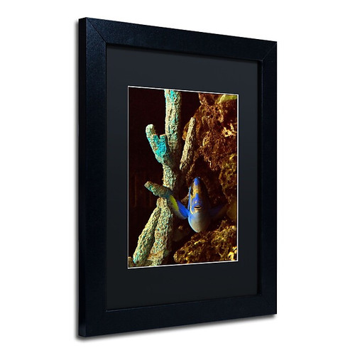 Trademark Kurt Shaffer "Fish in the Rocks" Art, Black Matte With Black Frame, 11" x 14" (65dcfdade8837636b11a4336_ud)