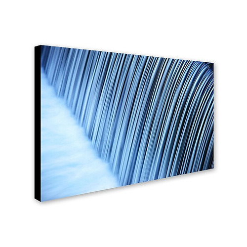 Trademark Philippe Sainte-Laudy "Liquid State" Gallery-Wrapped Canvas Art, 12" x 19" (65dcfdade8837636b11a433f_ud)