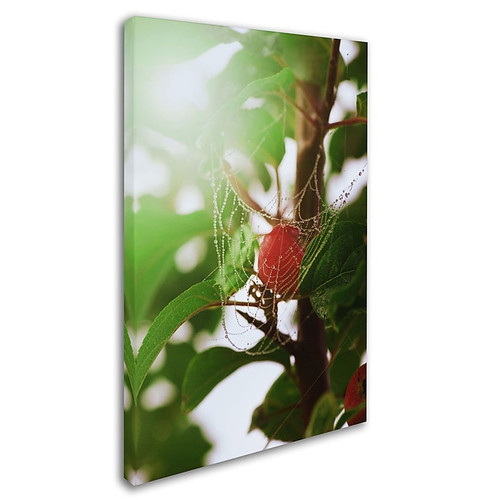 Trademark Philippe Sainte-Laudy "Sheltered" Gallery-Wrapped Canvas Art, 12" x 19" (65dcfdc7e8837636b11a43ab_ud)