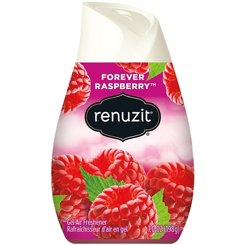 Renuzit Adjustable Cone Solid Air Freshener, Raspberry (DIA03667)