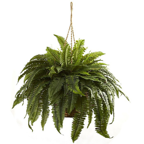 Nearly Natural 6788 Double Giant Boston Fern Hanging Basket 29 x 36 inch, Green (65dd0568e8837636b11a7ebe_ud)