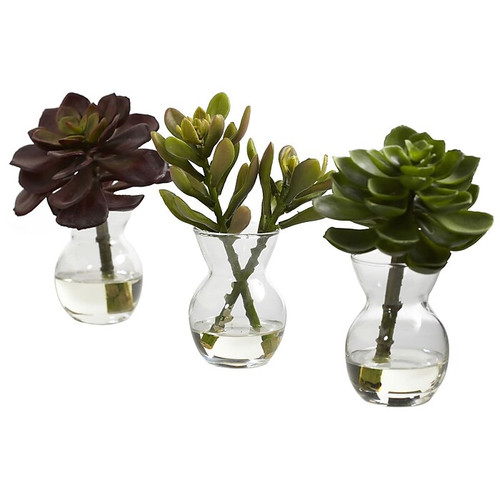 Nearly Natural 4954 Succulent Set of 3 Desk Top Plant in Decorative Vase (65dd05c7e8837636b11a81cf_ud)