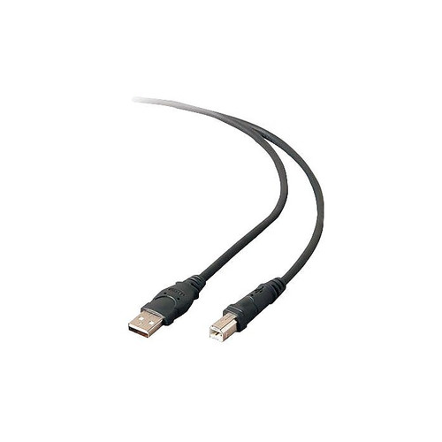 Belkin® 6' Hi-Speed USB 2.0 Cable, Black (65dd110be8837636b11ac563_ud)