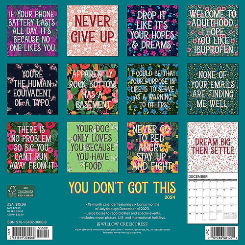 2024 Willow Creek You Don't Got This 12" x 12" Monthly Wall Calendar, Multicolor (36068)
