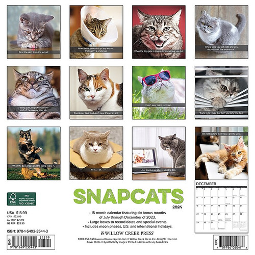 2024 Willow Creek Snapcats 12" x 12" Monthly Wall Calendar, Multicolor (35443)
