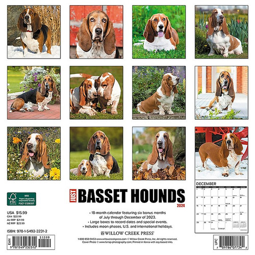 2024 Willow Creek Just Basset Hounds 12" x 12" Monthly Wall Calendar, Multicolor (32312)