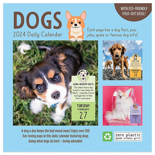 2024 TF Publishing 5.25" x 5.25" Dog A Day Daily Desktop Calendar (24-3008)