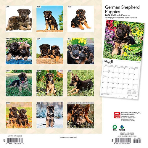 2024 BrownTrout German Shepherd Puppies 12" x 12" Monthly Wall Calendar (9781975462826)