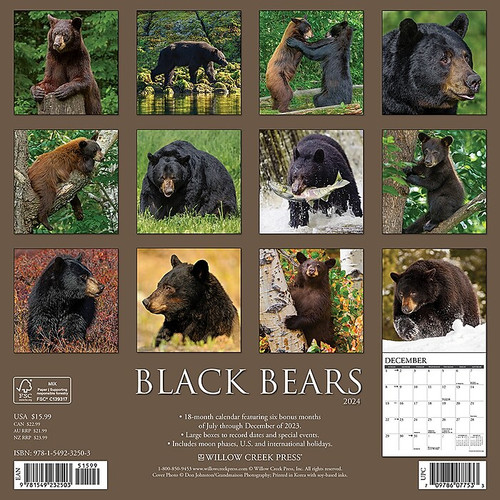 2024 Willow Creek Black Bears 12" x 12" Monthly Wall Calendar, Multicolor (32503)
