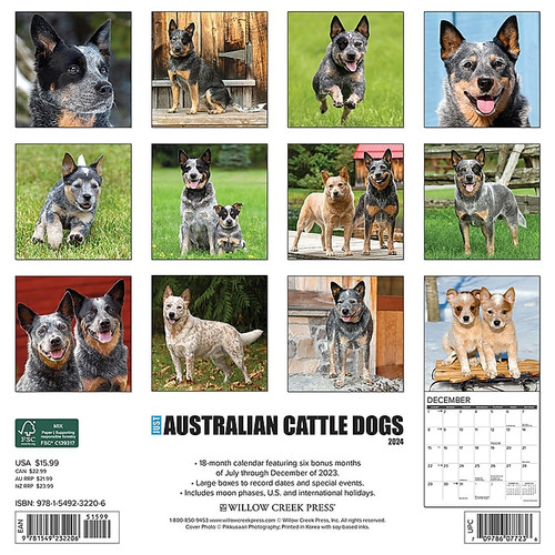 2024 Willow Creek Just Australian Cattle Dogs 12" x 12" Monthly Wall Calendar, Multicolor (32206)