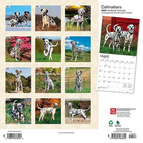 2024 BrownTrout Dalmatians 12" x 12" Monthly Wall Calendar (9781975467845)