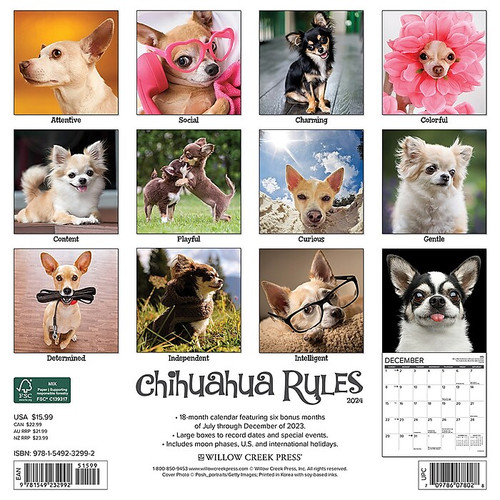 2024 Willow Creek Chihuahua Rules 12" x 12" Monthly Wall Calendar, Multicolor (32992)