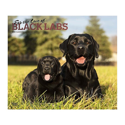 2024 BrownTrout For the Love of Black Labrador Retrievers 14" x 12" Monthly Wall Calendar (9781975468040)
