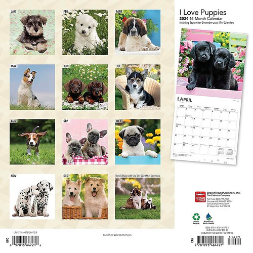 2024 BrownTrout I Love Puppies 12" x 12" Monthly Wall Calendar (9781975464721)
