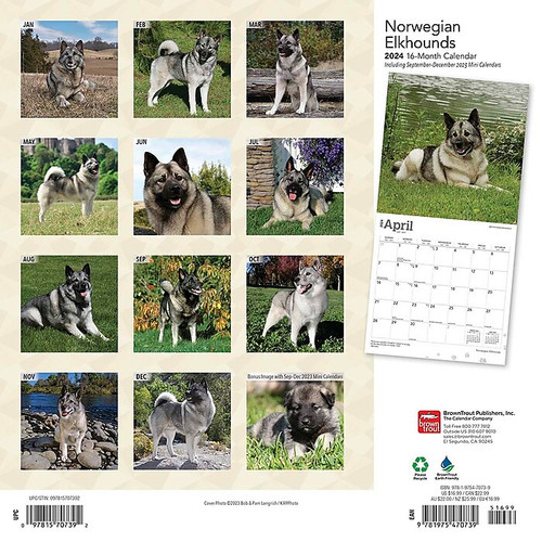 2024 BrownTrout Norwegian Elkhounds 12" x 12" Monthly Wall Calendar (9781975470739)