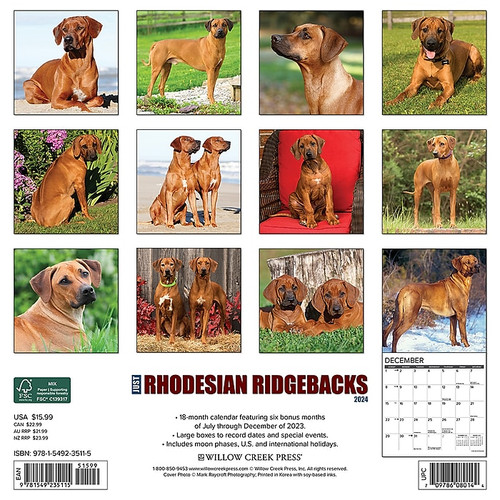 2024 Willow Creek Just Rhodesian Ridgebacks 12" x 12" Monthly Wall Calendar, Multicolor (35115)